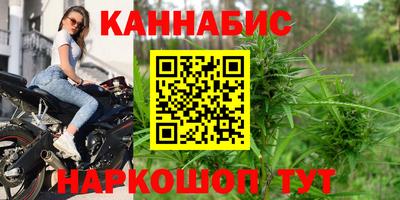 крисы Тулун
