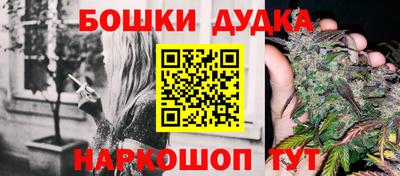 крисы Тулун