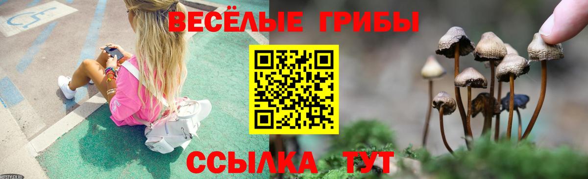 Галлюциногенные грибы мицелий Новотроицк